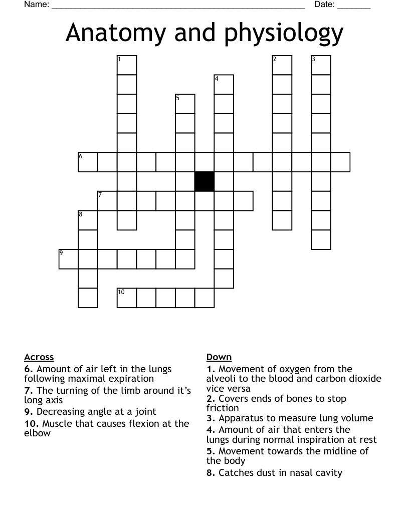 Anatomy and physiology  Crossword