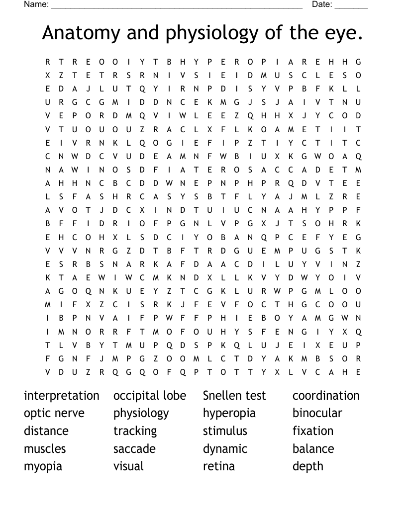 Anatomy and physiology of the eye. Word Search