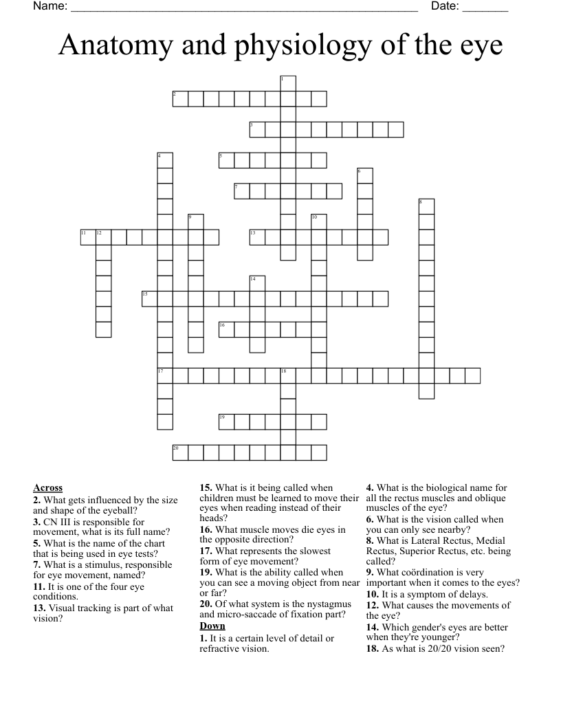 Anatomy and physiology of the eye Crossword