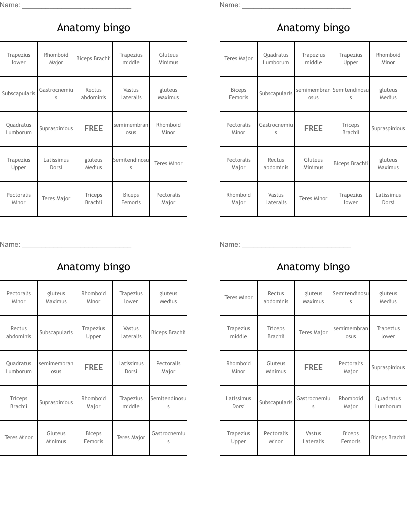 Anatomy bingo 