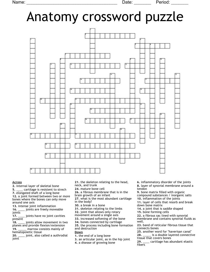 Anatomy crossword puzzle 