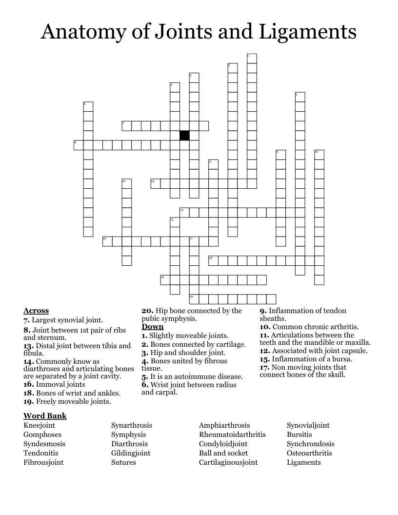 Anatomy of Joints and Ligaments Crossword