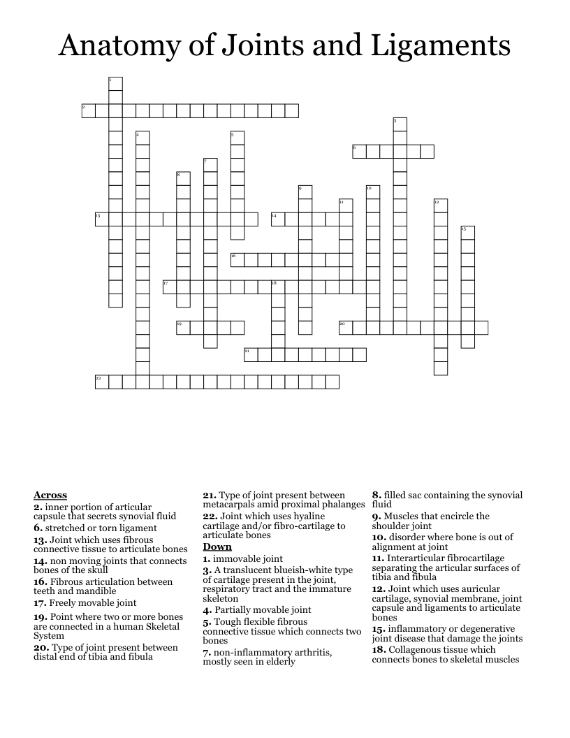 Anatomy of Joints and Ligaments Crossword