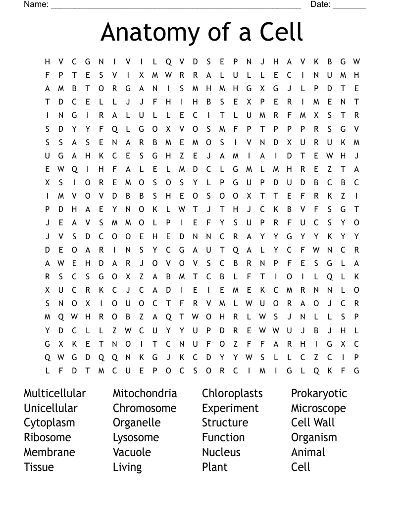 Anatomy of a Cell Word Search