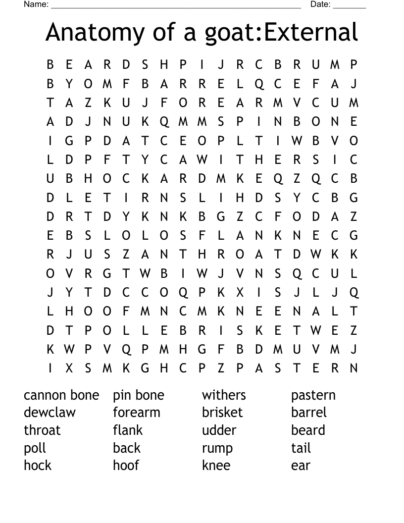 Anatomy of a goat:External Word Search