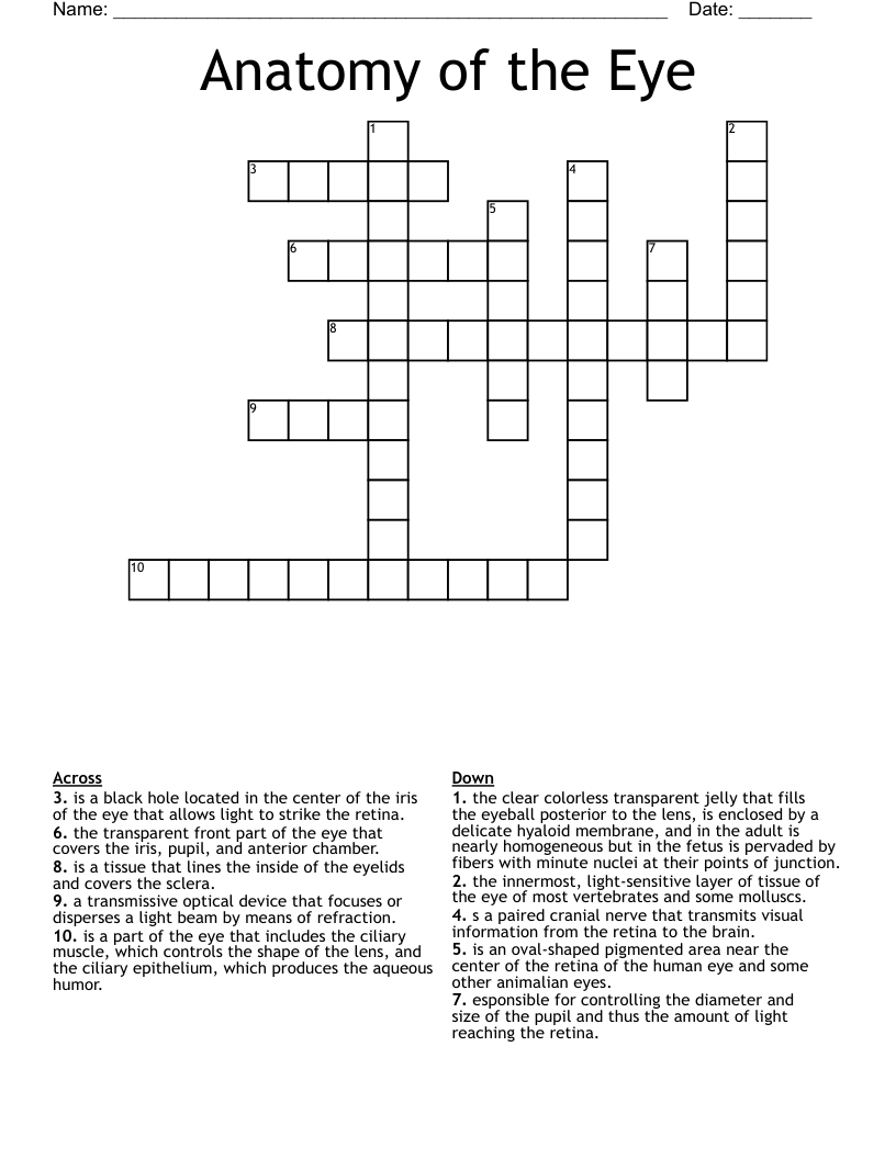 Anatomy of the Eye Crossword