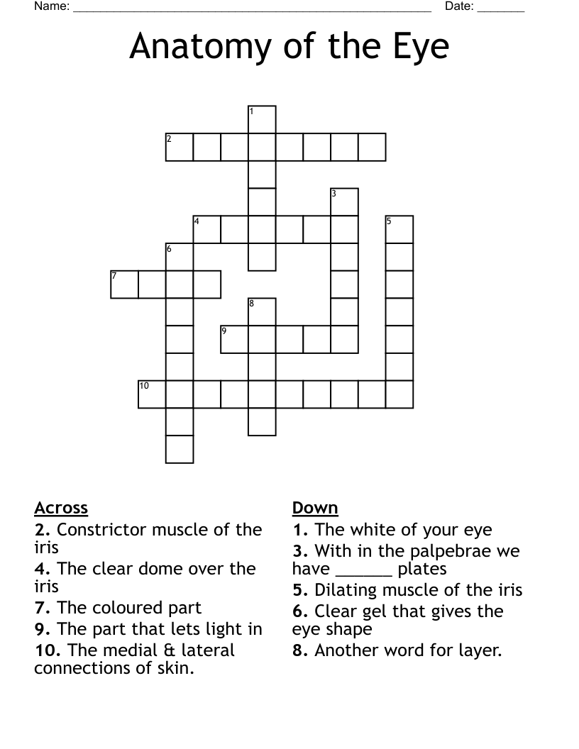 Anatomy of the Eye Crossword