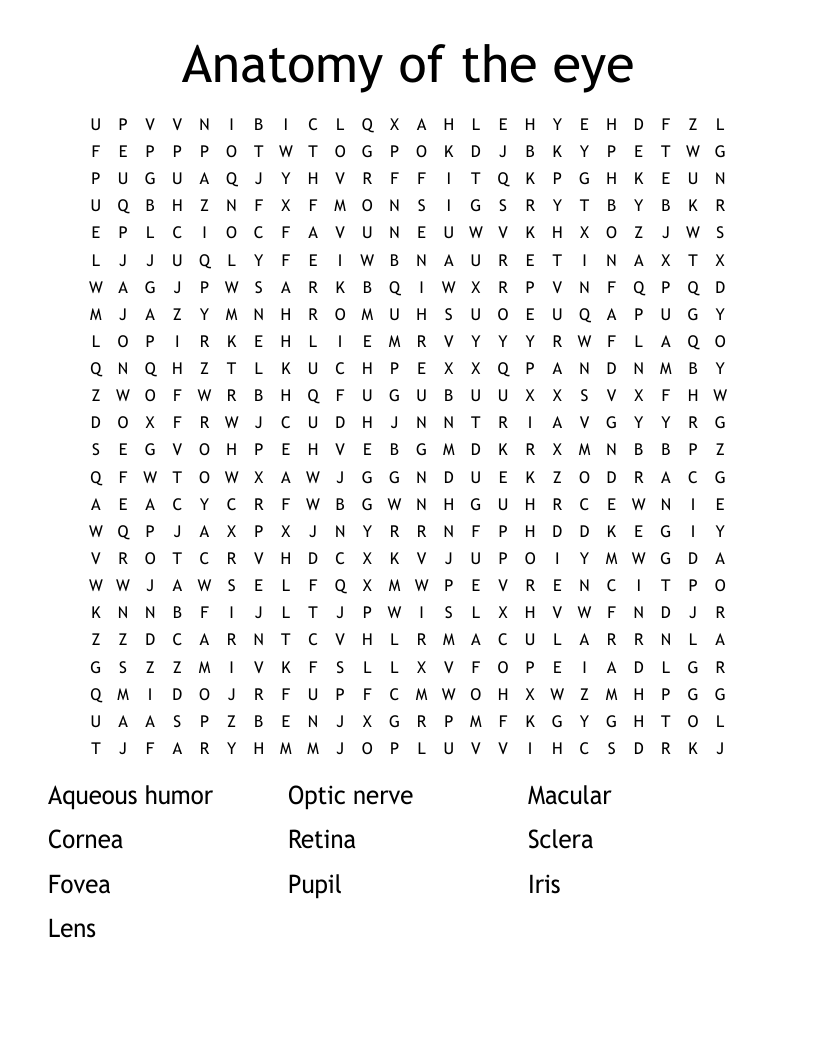 Anatomy of the eye Word Search