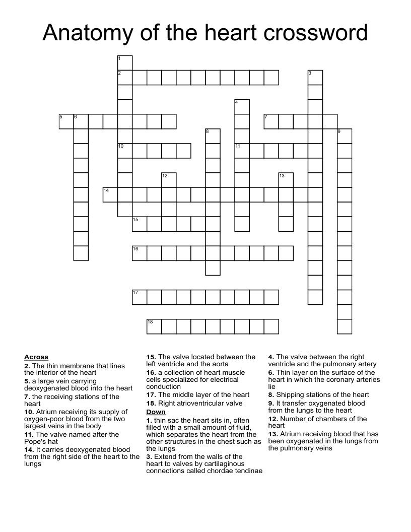 Anatomy of the heart crossword