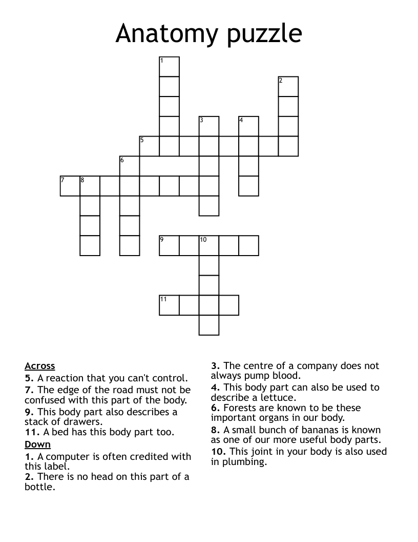 Anatomy puzzle