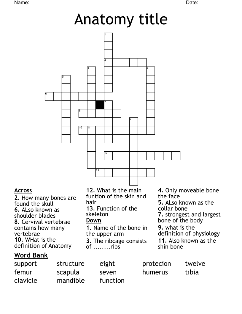 Anatomy title  Crossword