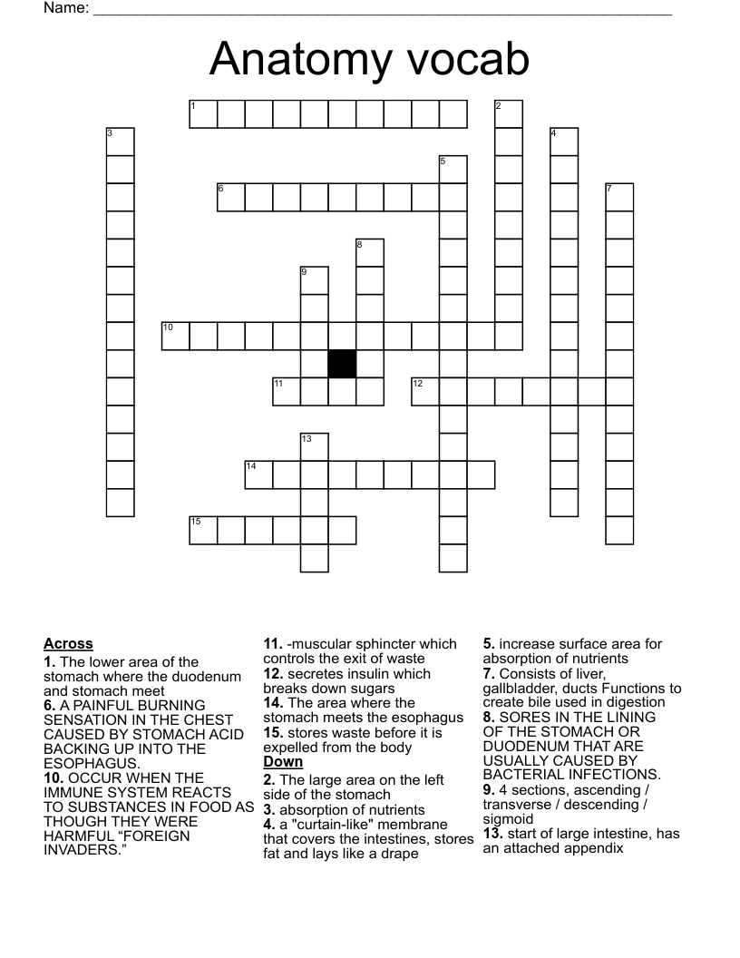 Anatomy vocab Crossword