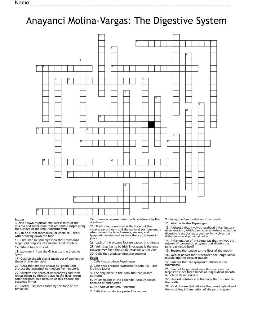 Anayanci Molina-Vargas: The Digestive System Crossword