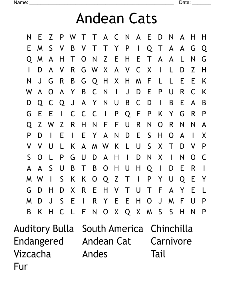 Andean Cats Word Search