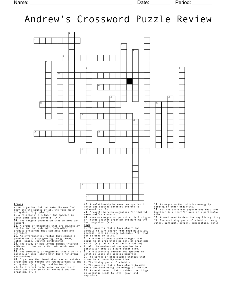 Andrew's Crossword Puzzle Review