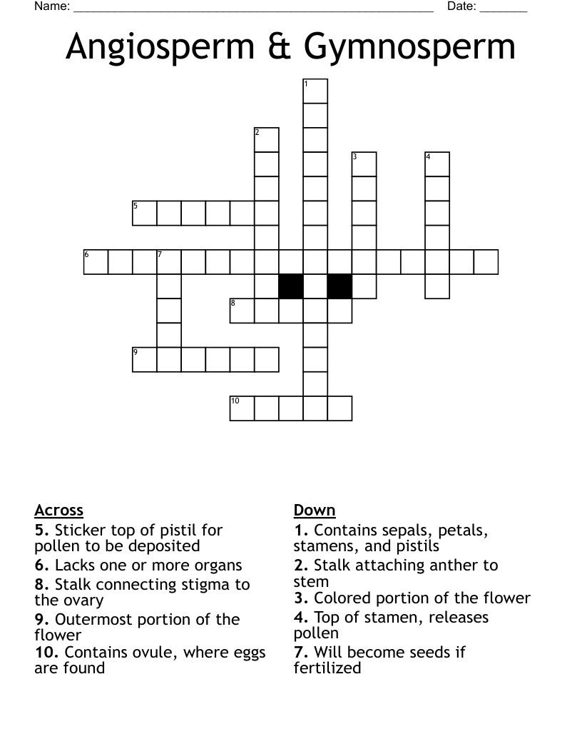Angiosperm & Gymnosperm Crossword