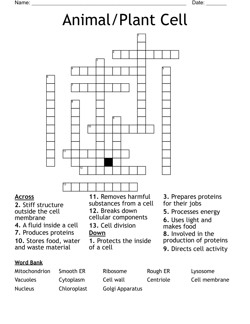 Animal/Plant Cell Crossword