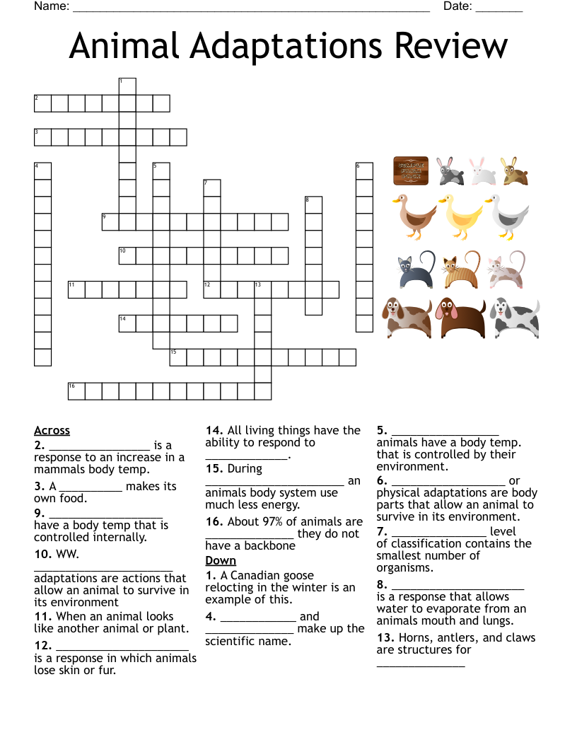 Animal Adaptations Review Crossword