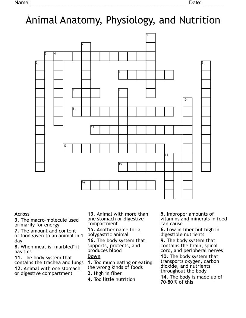 Animal Anatomy, Physiology, and Nutrition Crossword