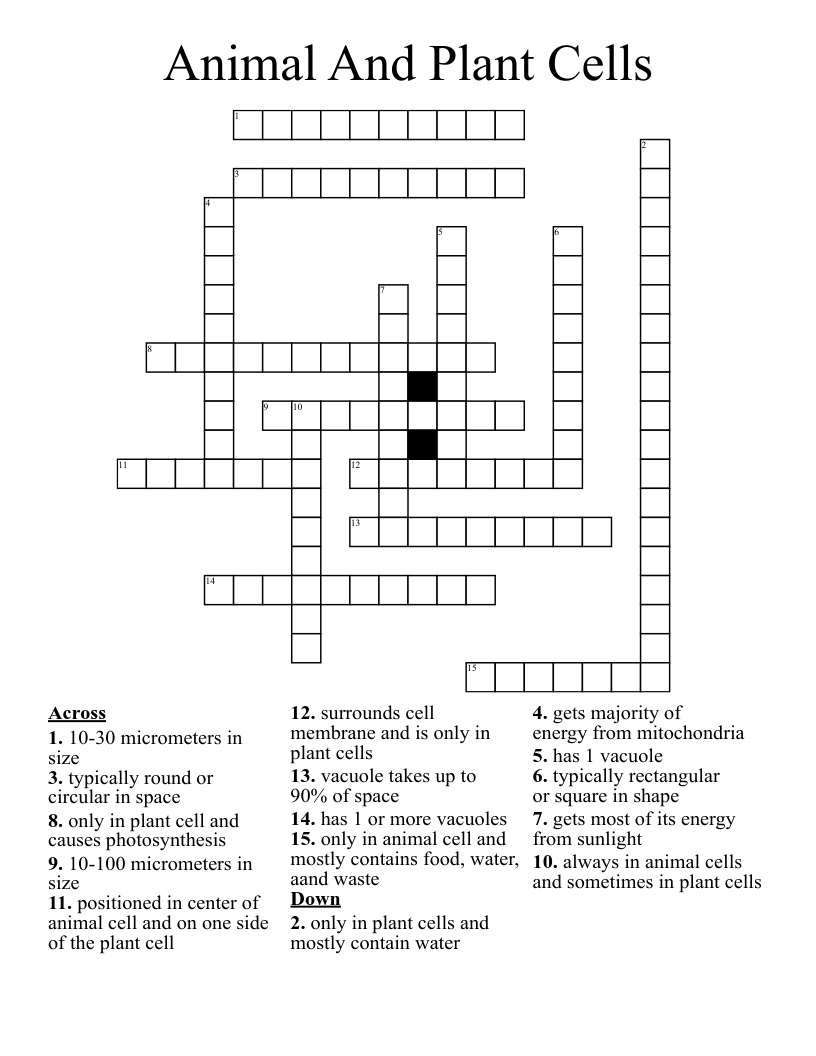 Animal And Plant Cells Crossword