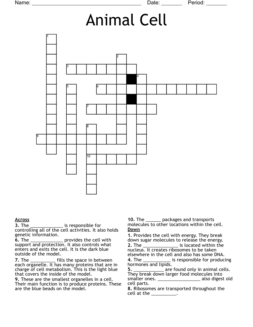 Animal Cell Crossword