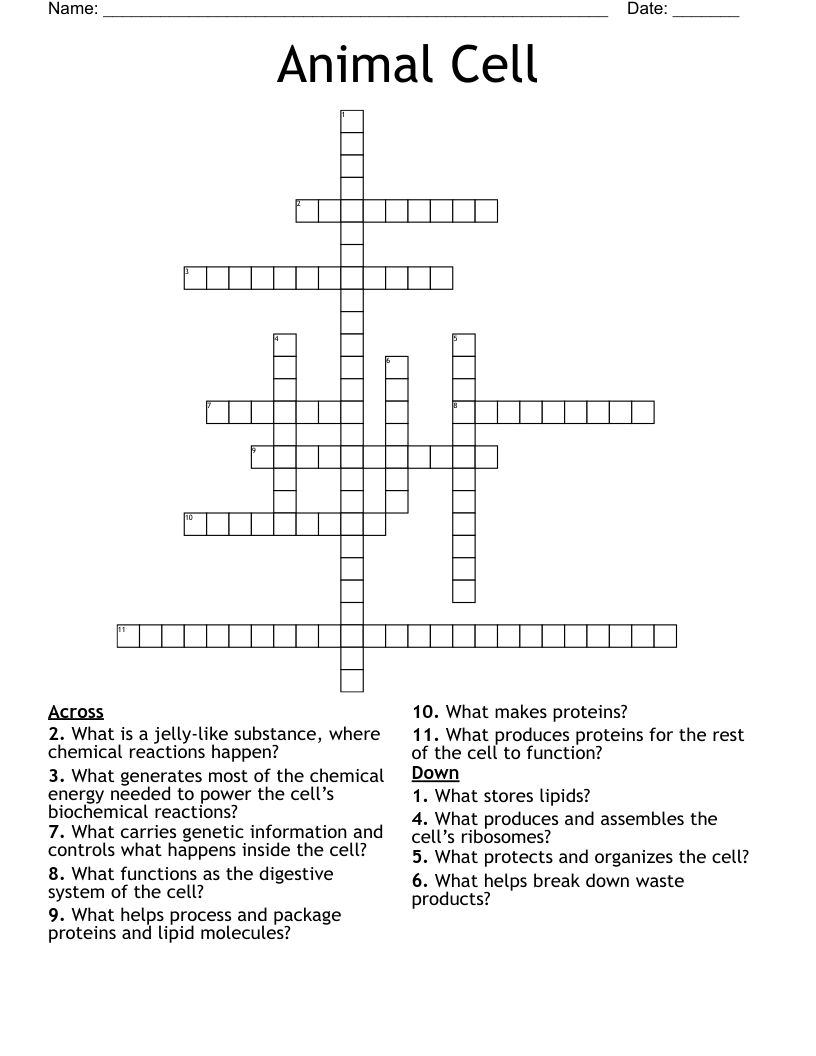Animal Cell Crossword