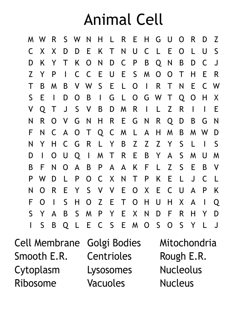 Animal Cell Word Search