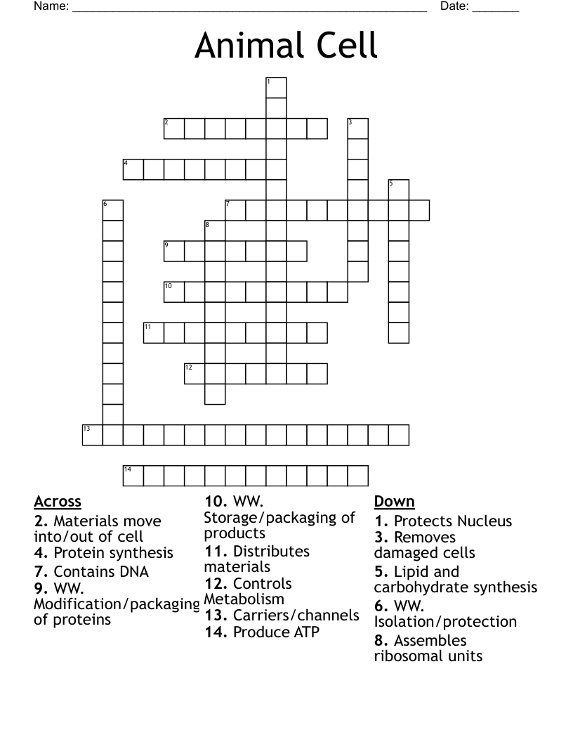 Animal Cell Crossword