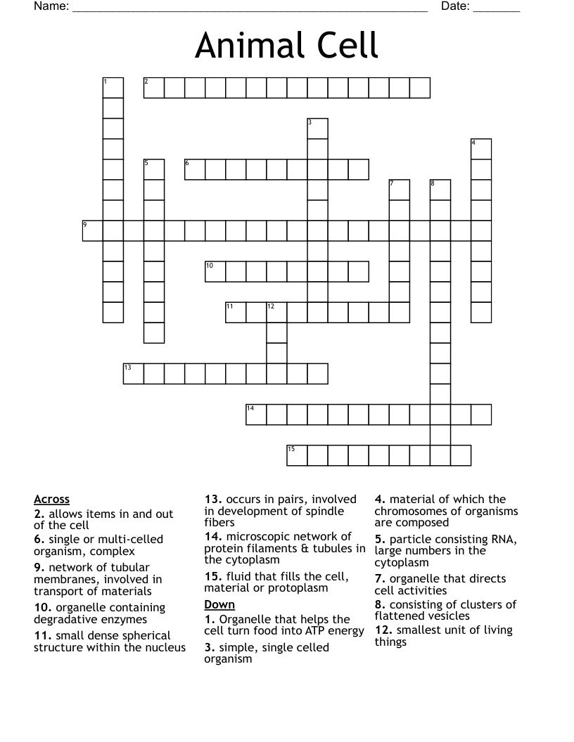 Animal Cell Crossword