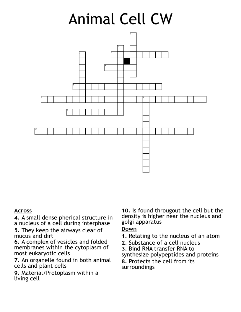 Animal Cell CW Crossword