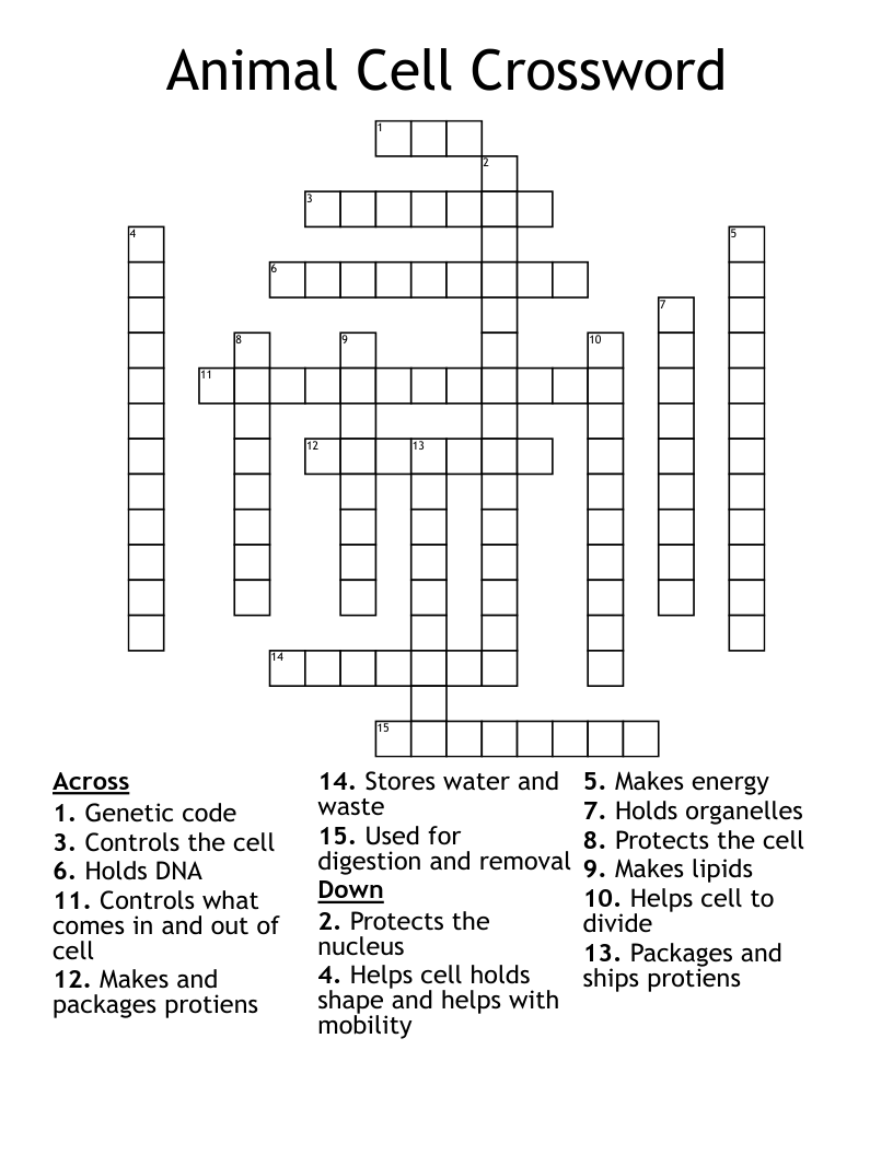 Animal Cell Crossword