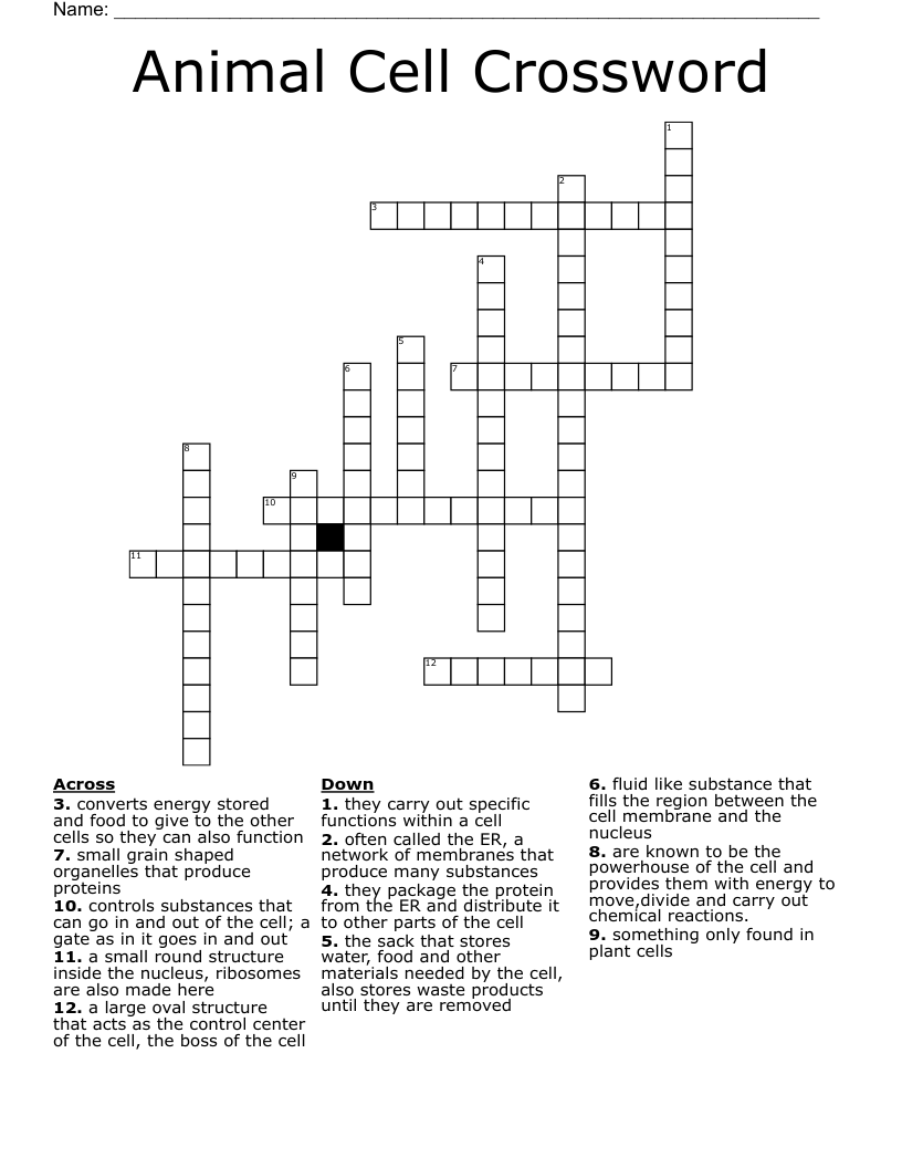 Animal Cell Crossword