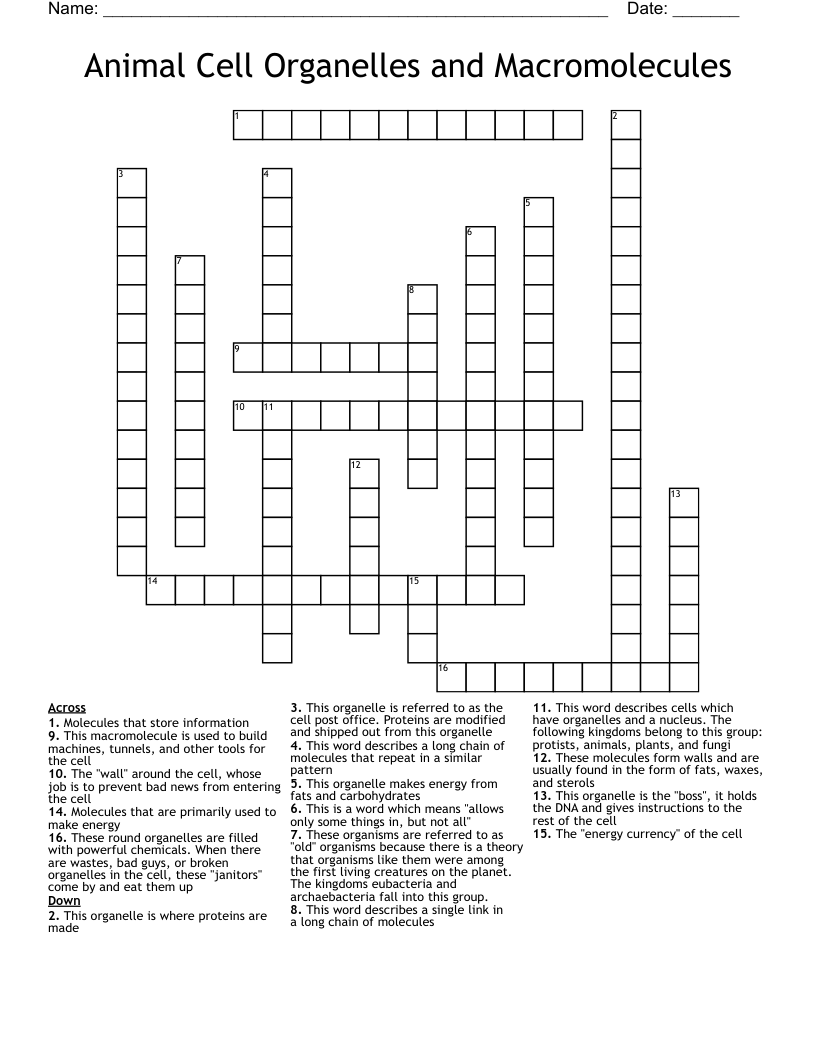 Animal Cell Organelles and Macromolecules Crossword