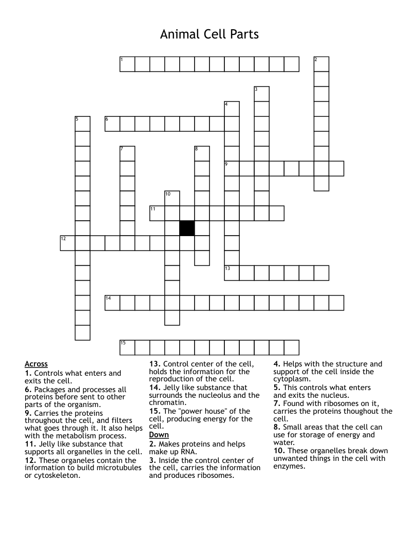 Animal Cell Parts                                                             Crossword