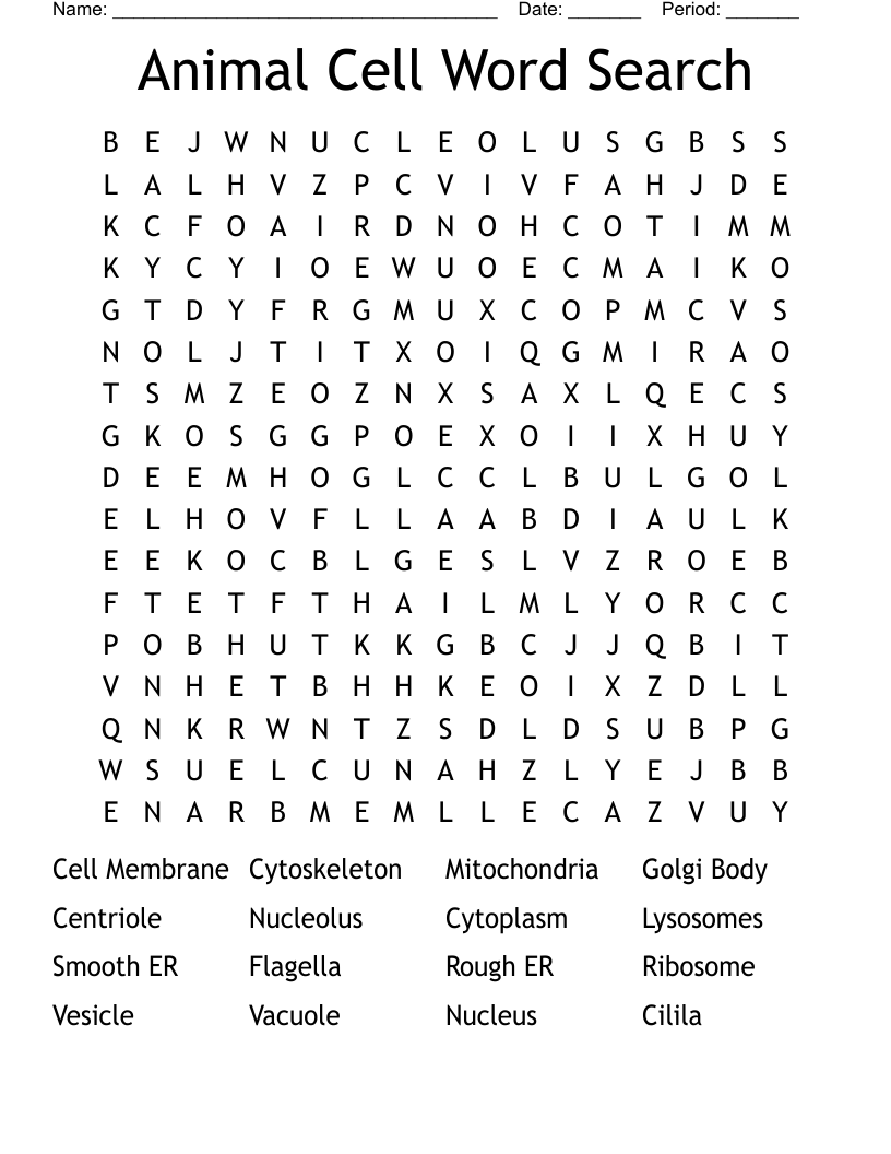 Animal Cell Word Search