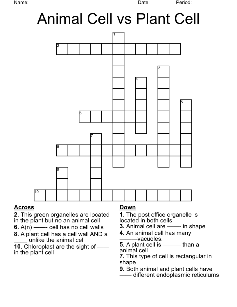 Animal Cell vs Plant Cell Crossword