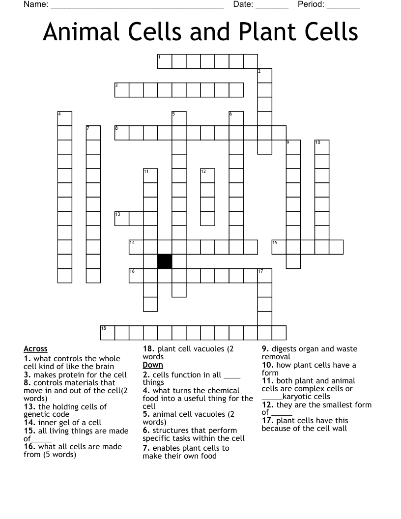 Animal Cells and Plant Cells Crossword