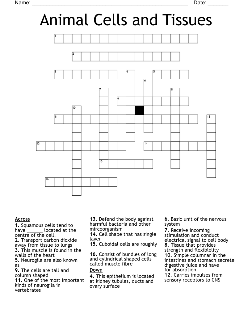 Animal Cells and Tissues Crossword