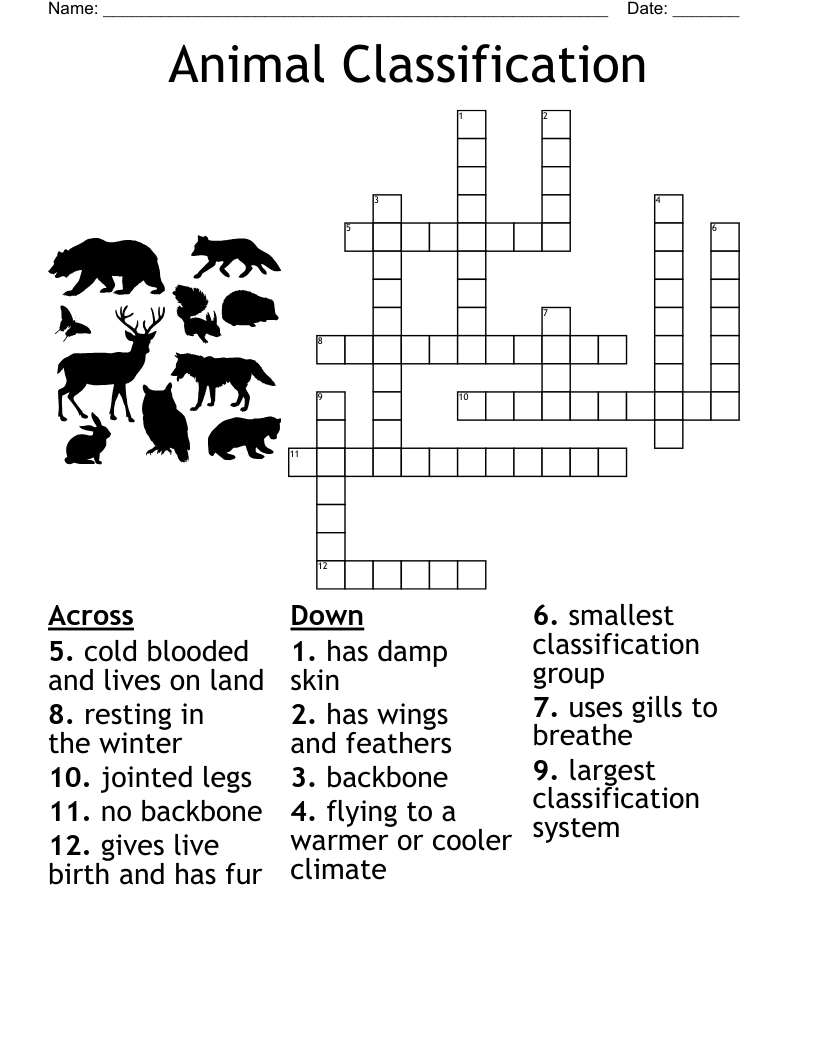 Animal Classification Crossword