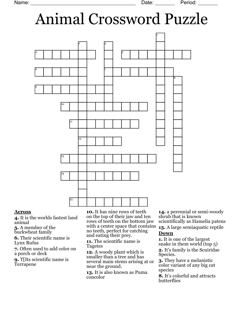 Animal Crossword Puzzle