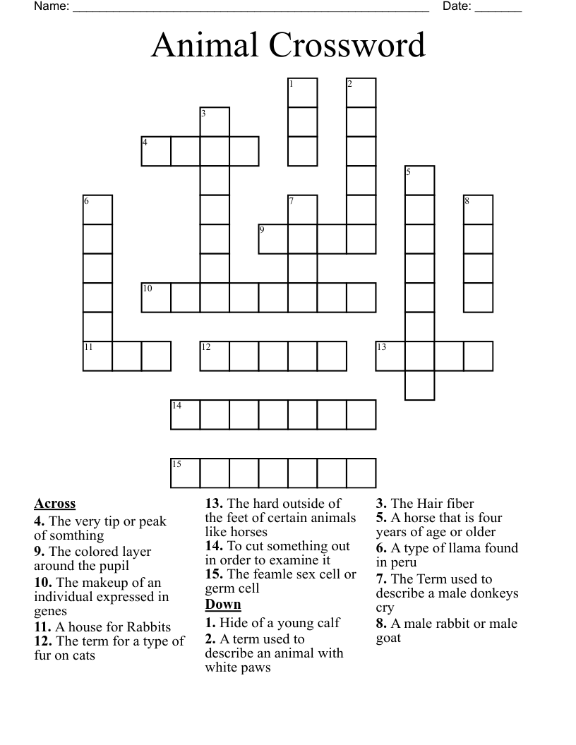 Animal Crossword 