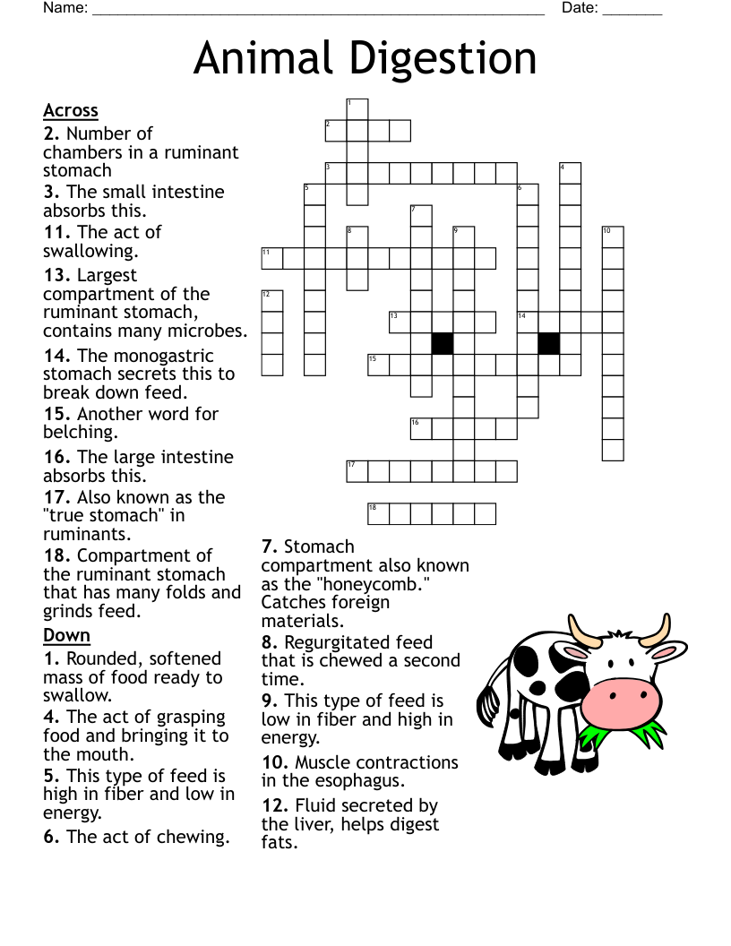 Animal Digestion Crossword
