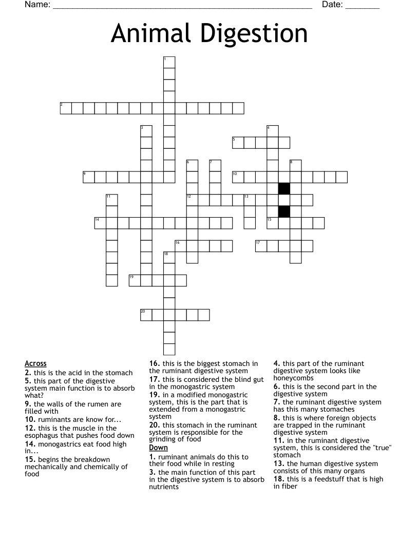 Animal Digestion Crossword