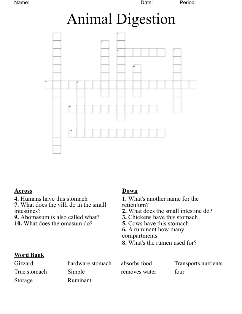 Animal Digestion Crossword