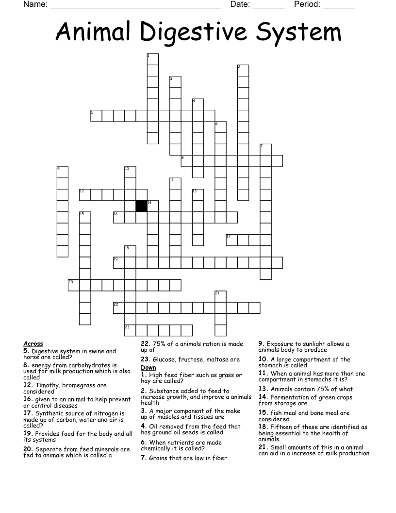 Animal Digestive System Crossword