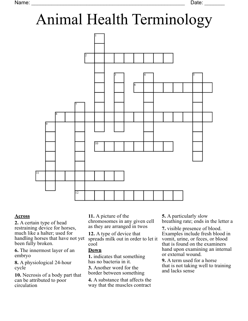 Animal Health Terminology Crossword