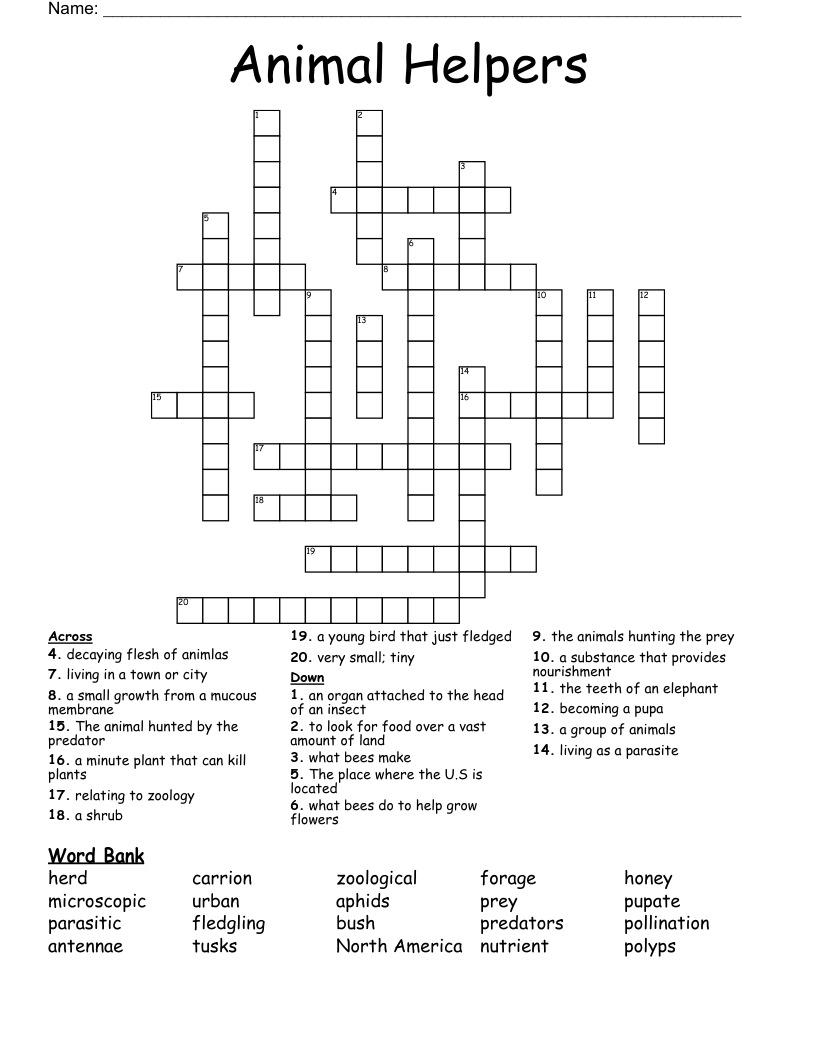 Animal Helpers Crossword