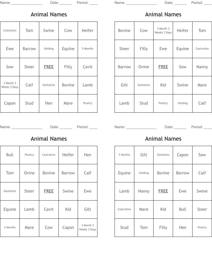 Animal Names Bingo Cards
