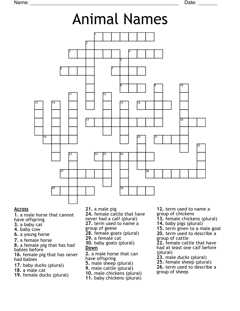 Animal Names Crossword