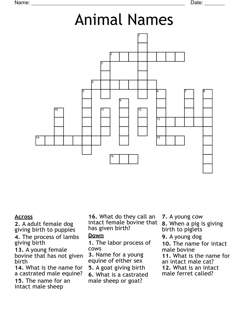 Animal Names Crossword
